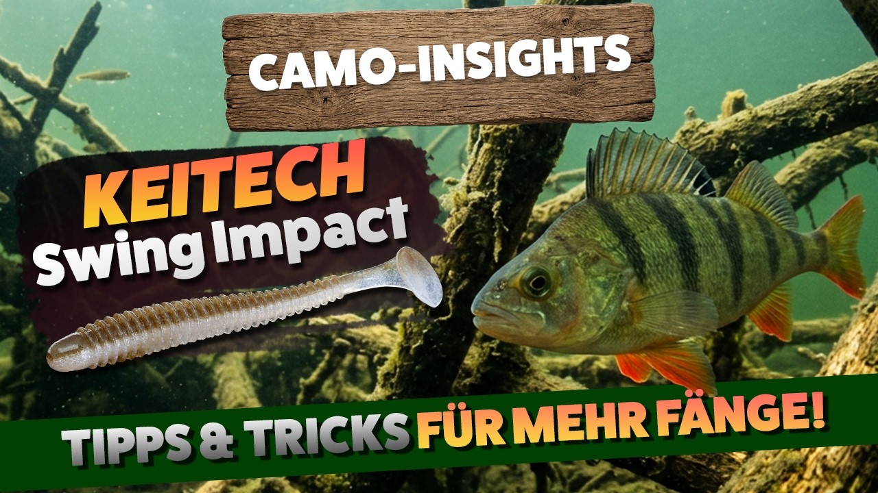 Camo-Insights 