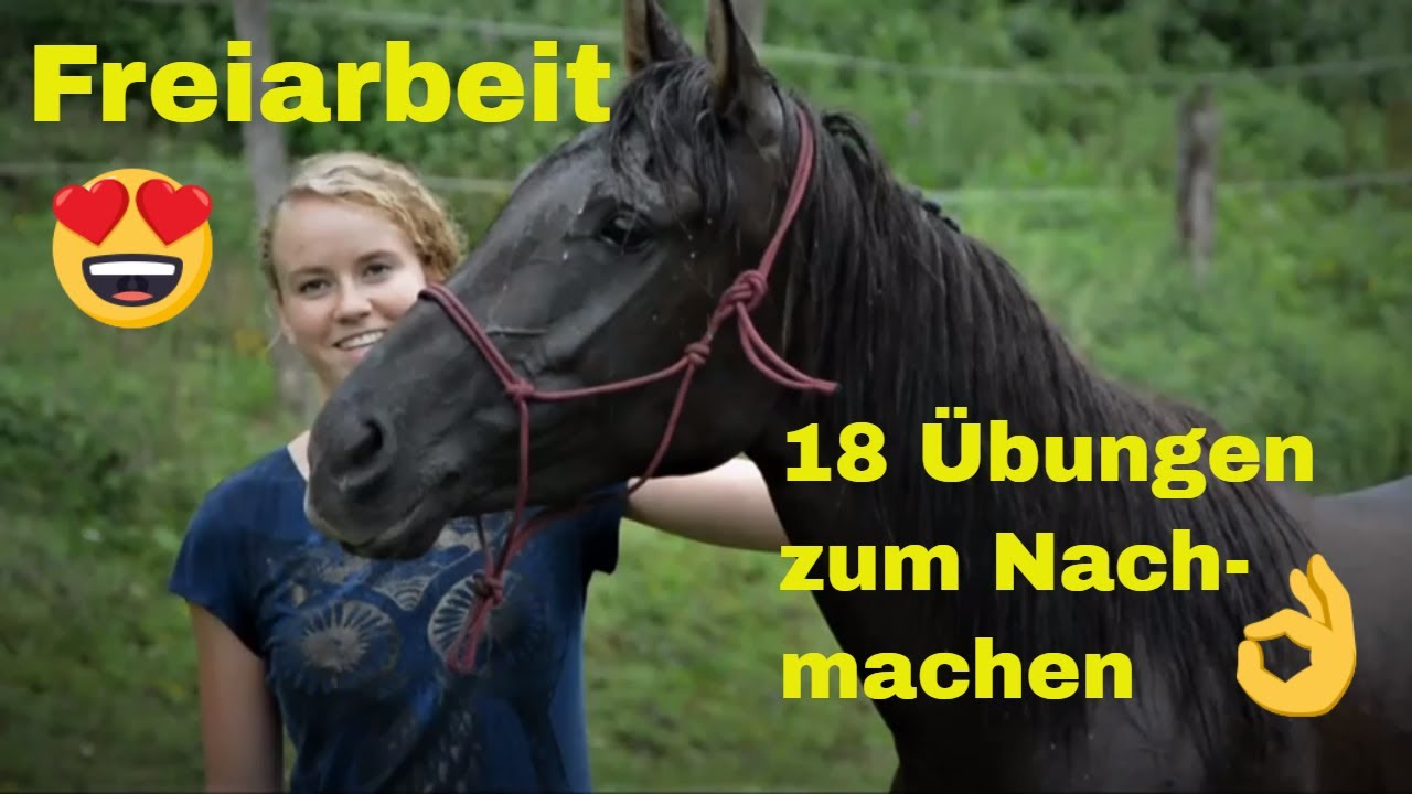 Freiarbeit - 18 Übungen zum Nachmachen (neue Trainingsideen)