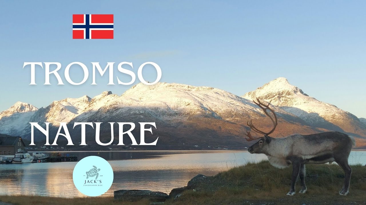 Relax and Enjoy the Nature of Tromso, Norway