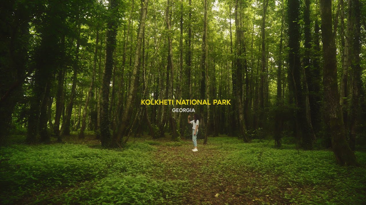 Country of Georgia - Kolkheti National Park