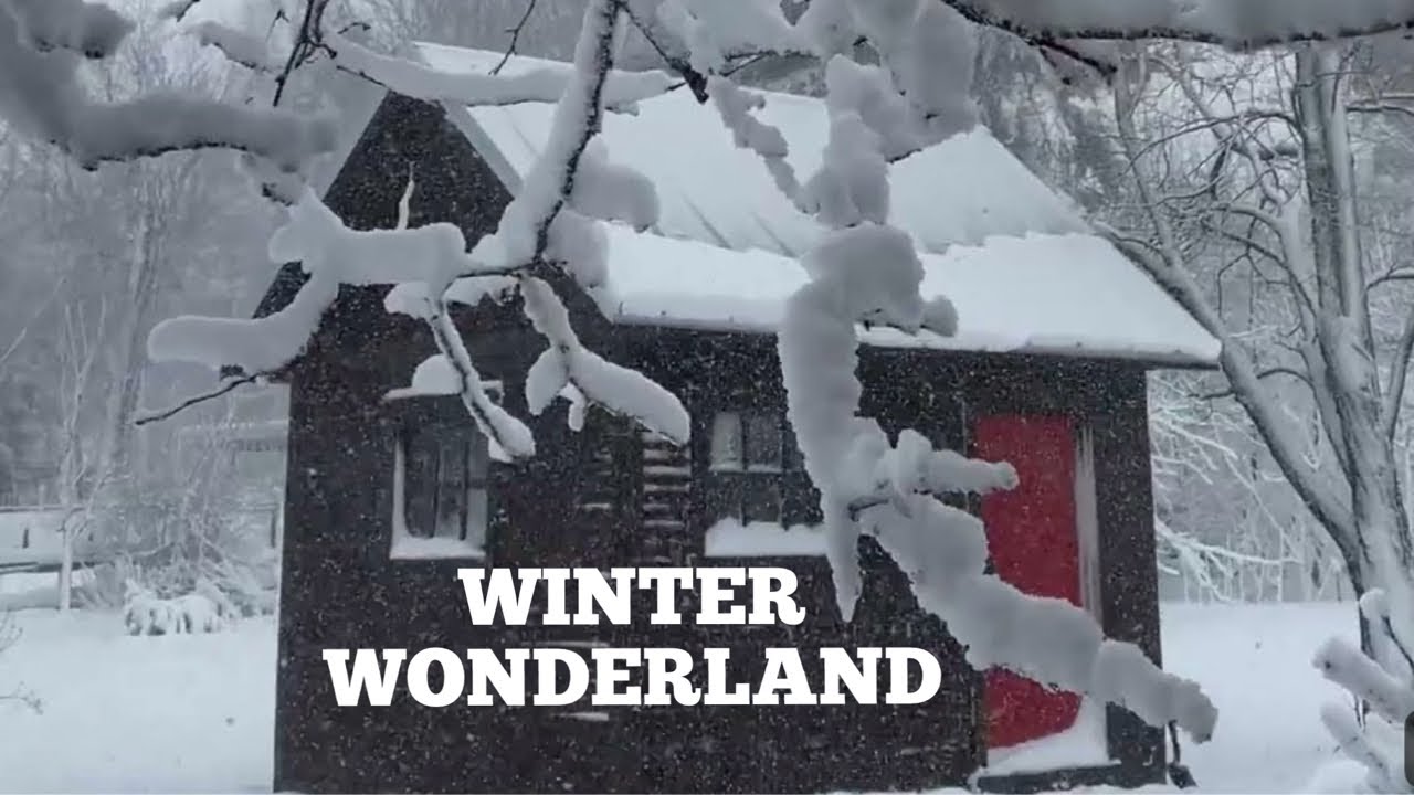 The snowfall quietly covered everything in white ❄️.Winter in Canada.Beep Travels.