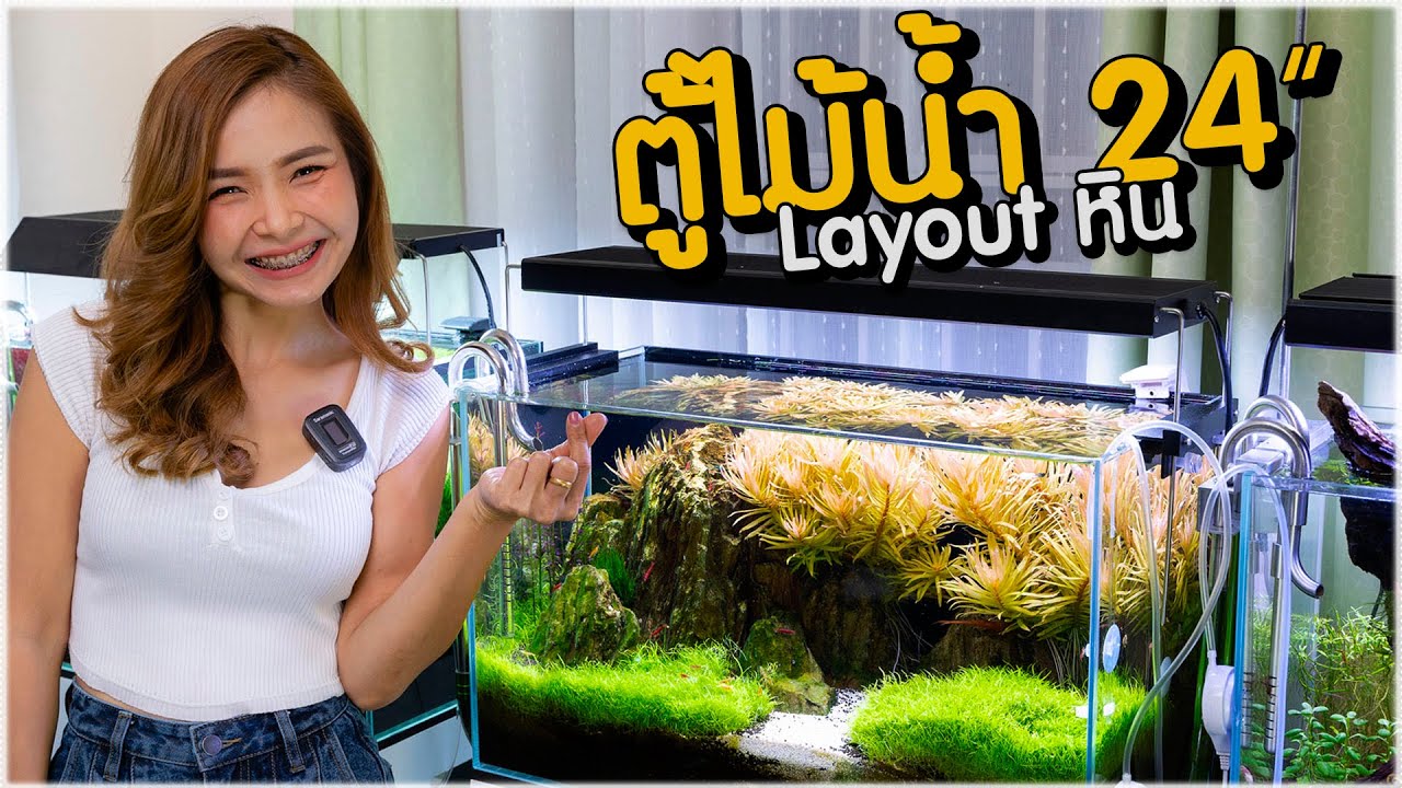 ตู้ไม้น้ำ 24 นิ้ว Layout หิน แนะนำอุปกรณ์ ขั้นตอนการจัดเลย์เอาท์