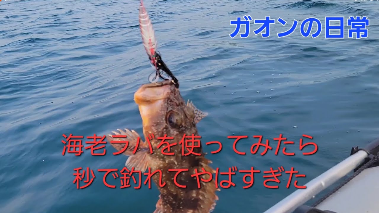 タイラバじゃなくて海老ラバを使ってみた