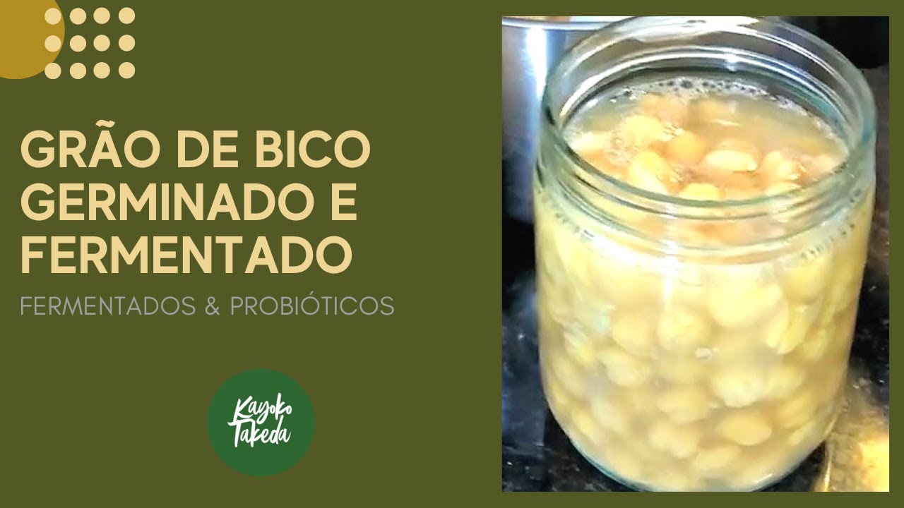 GRÃO DE BICO PROBIÓTICO E  FERMENTADO, COMO FAZER  - GRÃO DA FELICIDADE