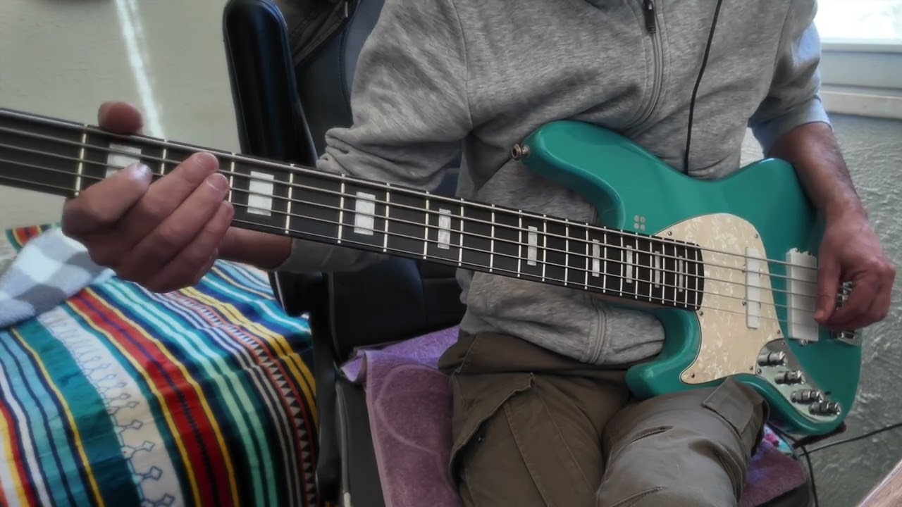 Selah Sue i'm Alone Bass Cover