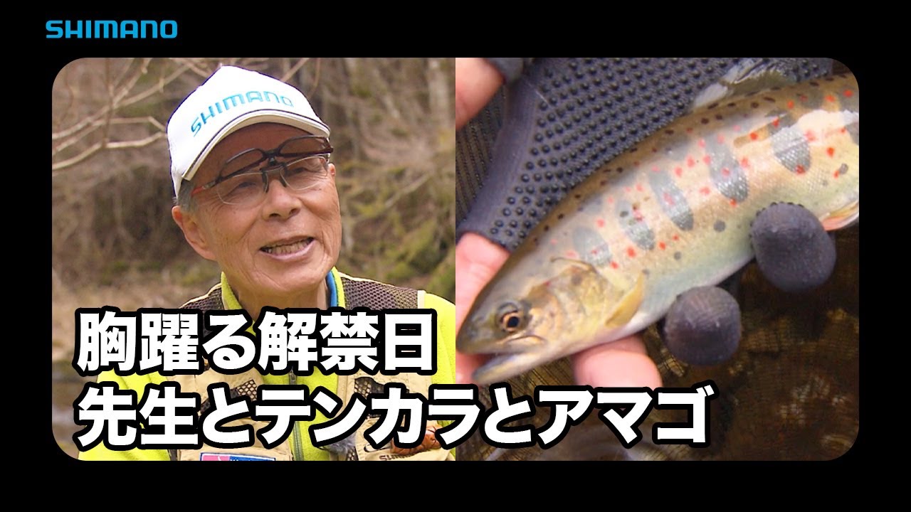 【おとな釣り倶楽部】心躍る解禁日、石垣博士の段戸川テンカラ釣行
