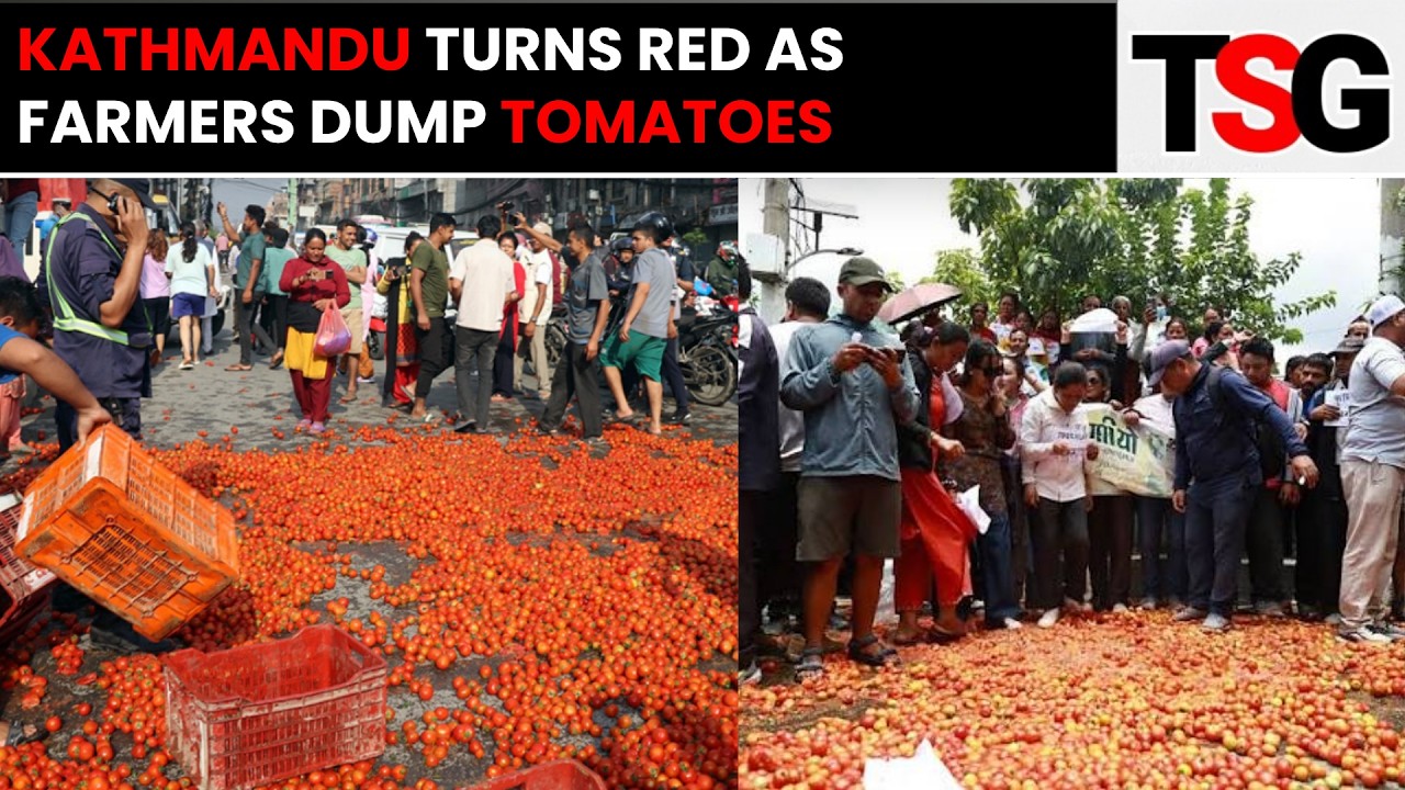Nepal Farmers Dump Tomatoes on Streets as Crop Price Crisis Sparks Massive Protest | TSG