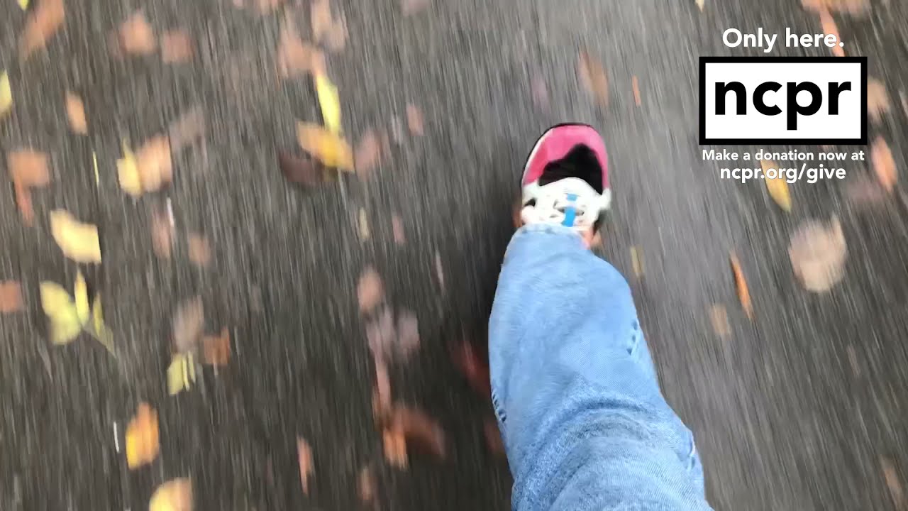 Todd takes a walk