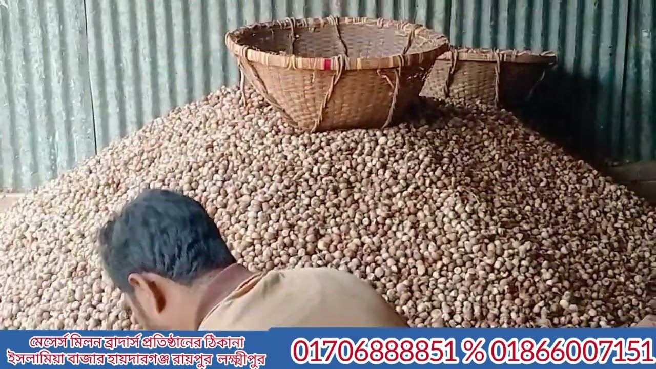 শুকনো সুপারির ব্যবসার আইডিয়া পাইকারি সুপারি দাম জানুন কিনে ব্যবসা করুন ২০২৬