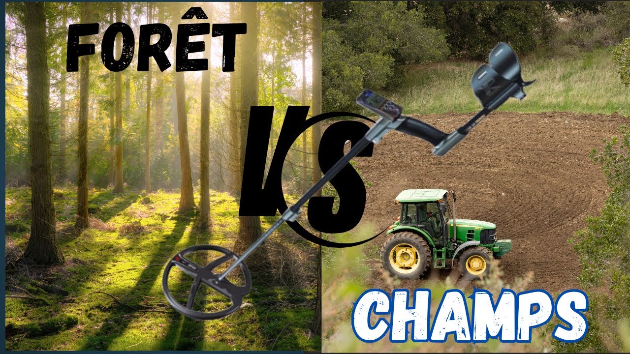La détection de métaux : champs ou forêt ?