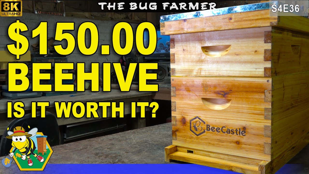 Комплект улья Bee Castle | Станьте пчеловодом за 150 долларов #пчеловодство #пчелы