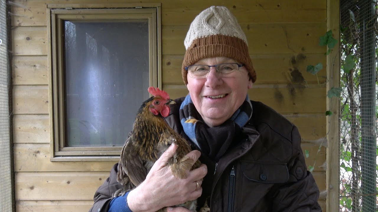 Het verhaal van de vreemde kip die door ons tuin rent, een honden sleetocht en de nieuwe mok #101