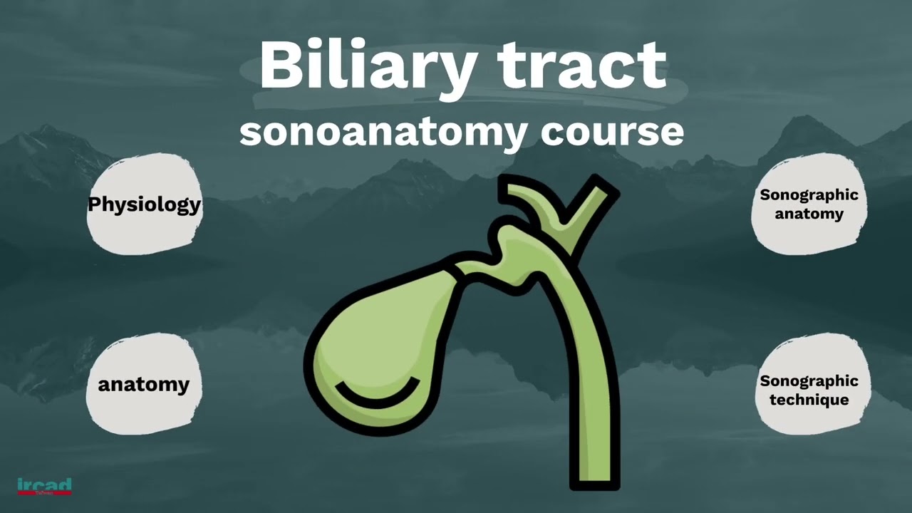 Sonoanatomy of biliary tract system