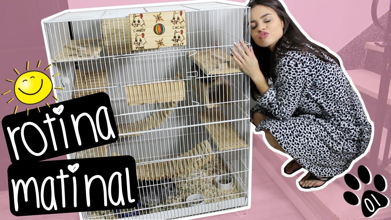 ROTINA DA MANHÃ DAS CHINCHILAS - VLOG DAS CHINCHILAS [01] | by Carla Soares
