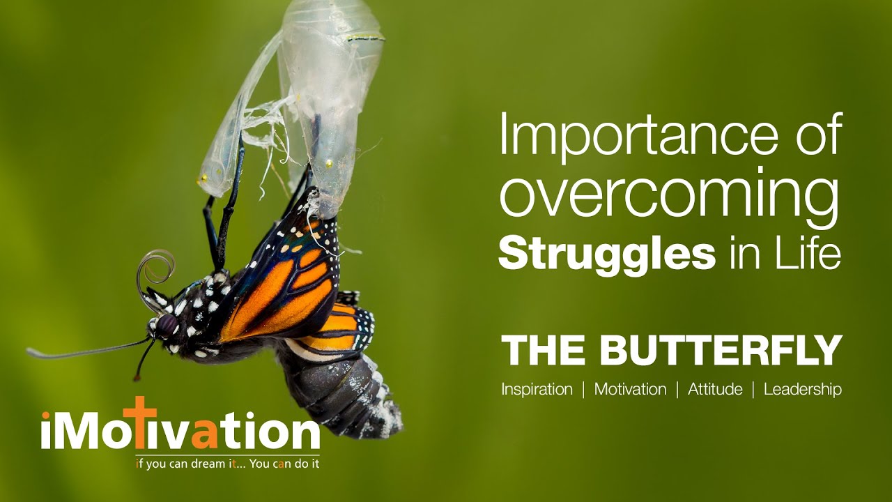 The Importance of Overcoming Struggles in Life