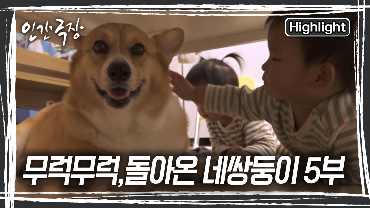 네쌍둥이 낳고 육아만 하며 달려온 두레 씨가 중장비 운전이라는 새로운 도전을 한다 [인간극장] | KBS 20241101 방송
