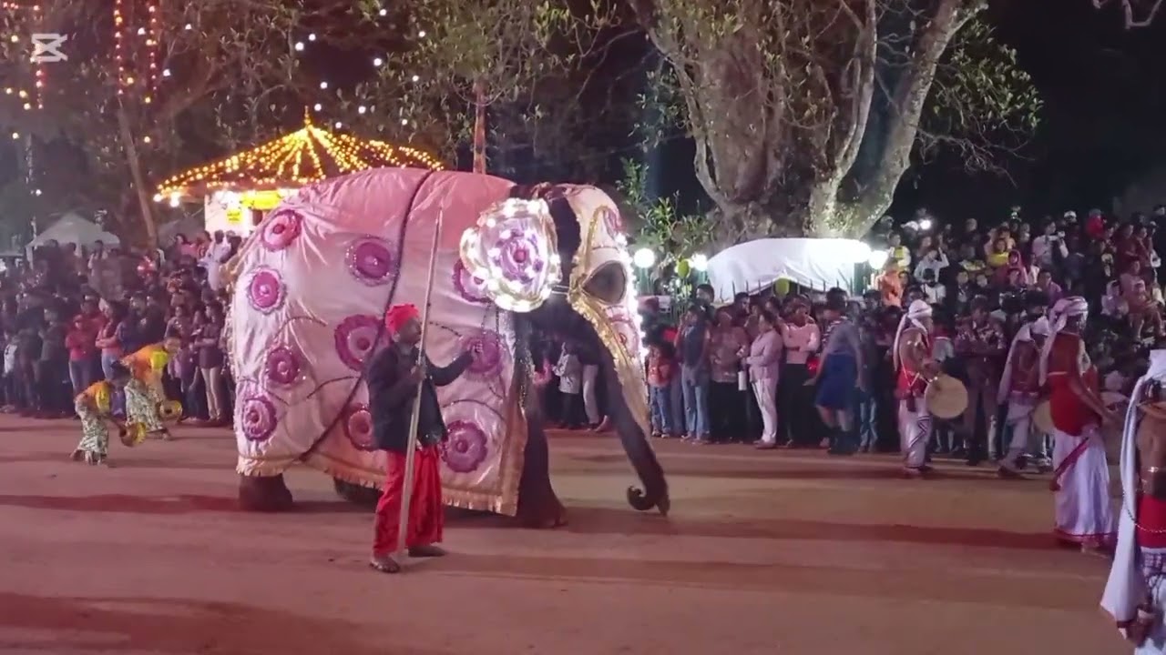 අලුත් නුවර පෙරහැර මංගල්‍යය 2025#dance #travel #