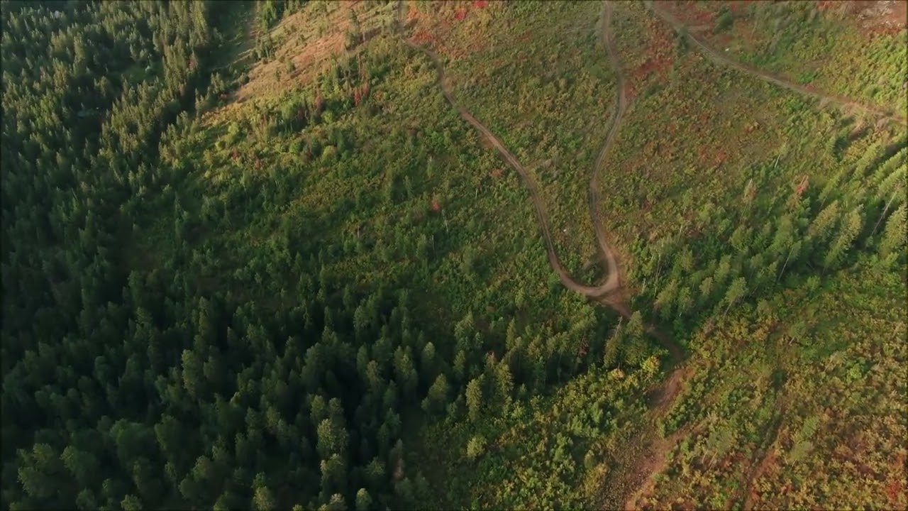 Magischer Wald aus der Vogelperspektive | 4K Drohnenaufnahmen
