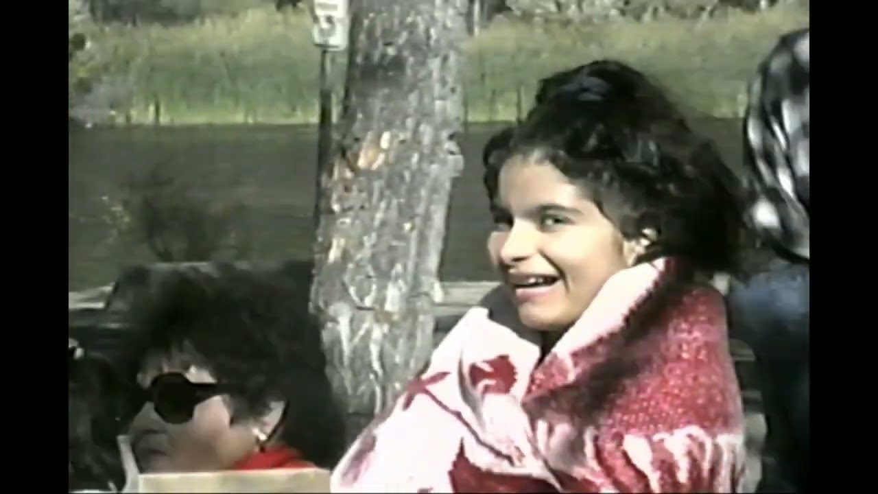 Dewey 1995