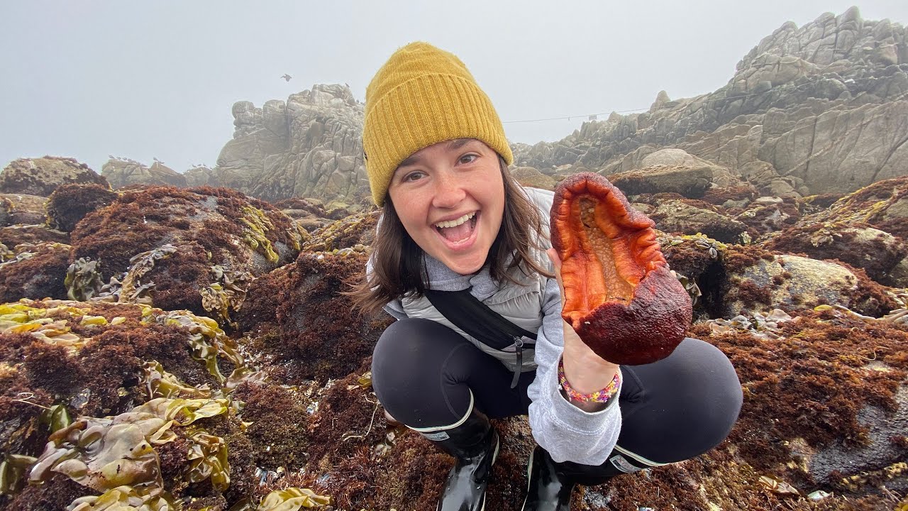 Exploring California Tidepools