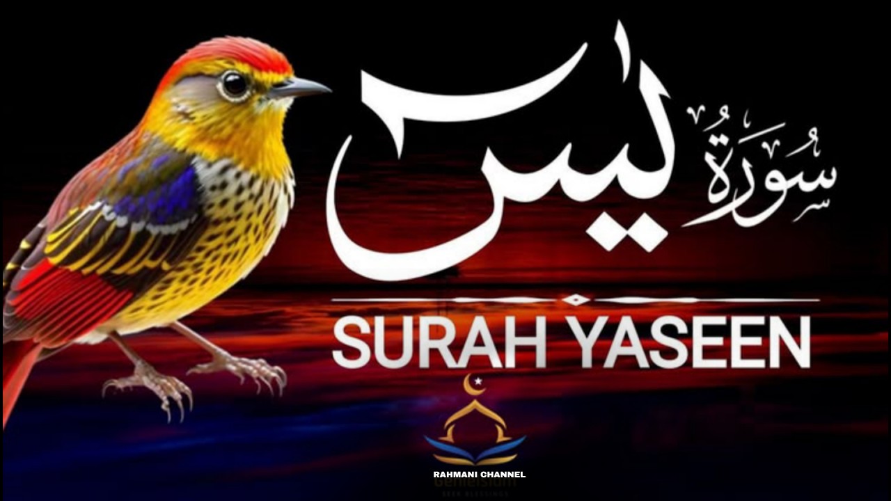 Live: amzan World 's Most Beautiful  Recitation of Surah Yaseen (سورة يس ) |Rahmani channel