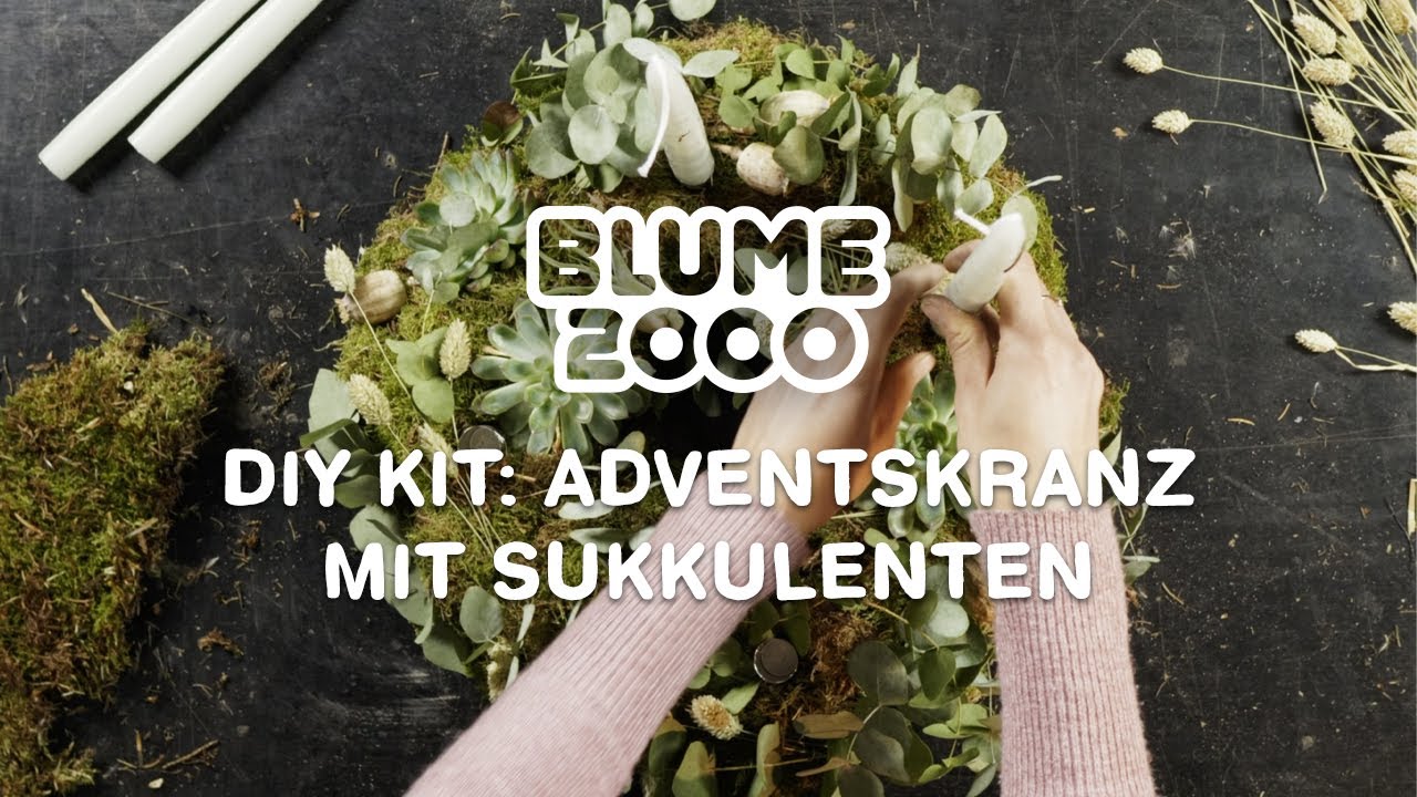 Adventskranz mit Sukkulenten selber machen | DIY Kit | BLUME2000