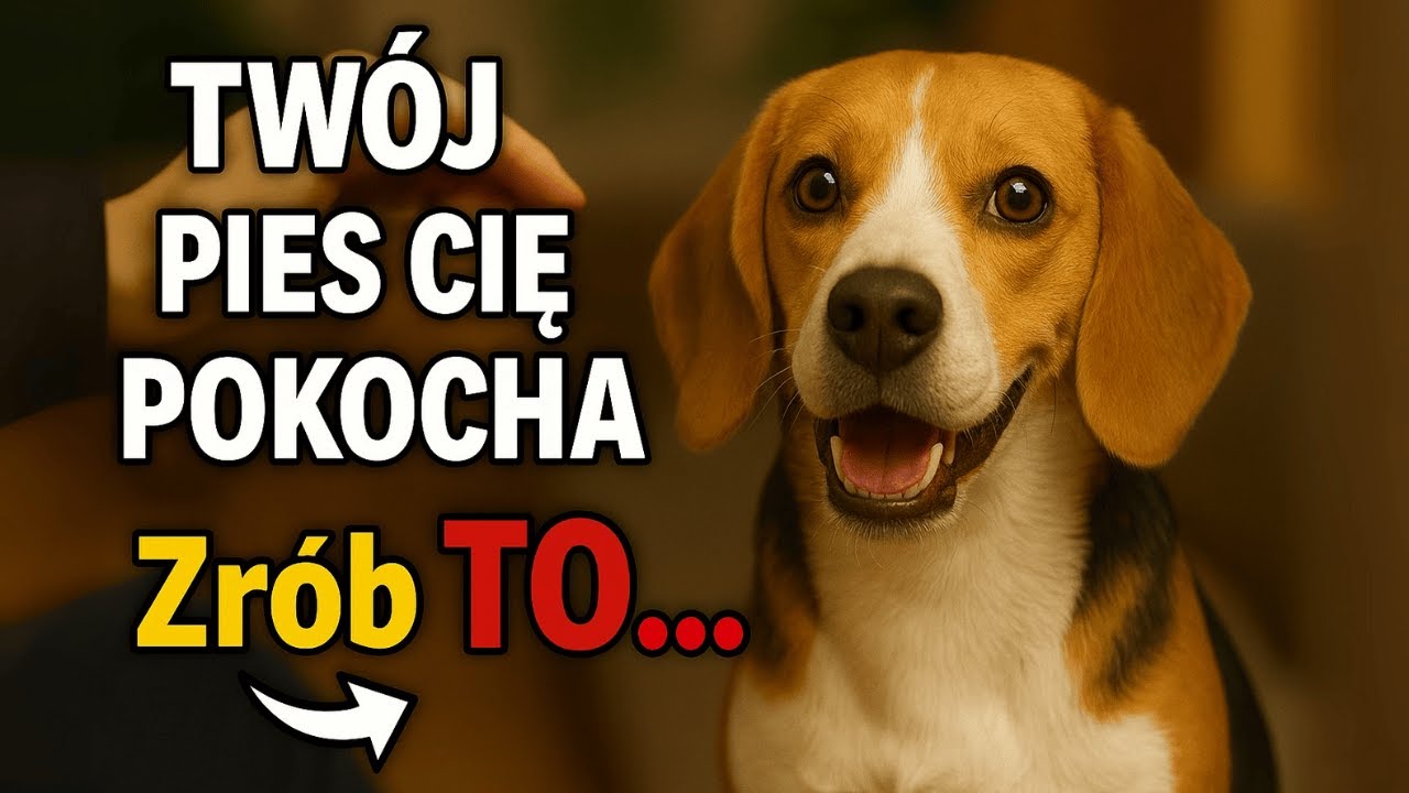 Pies Cię pokocha... ZRÓB TE 10 RZECZY