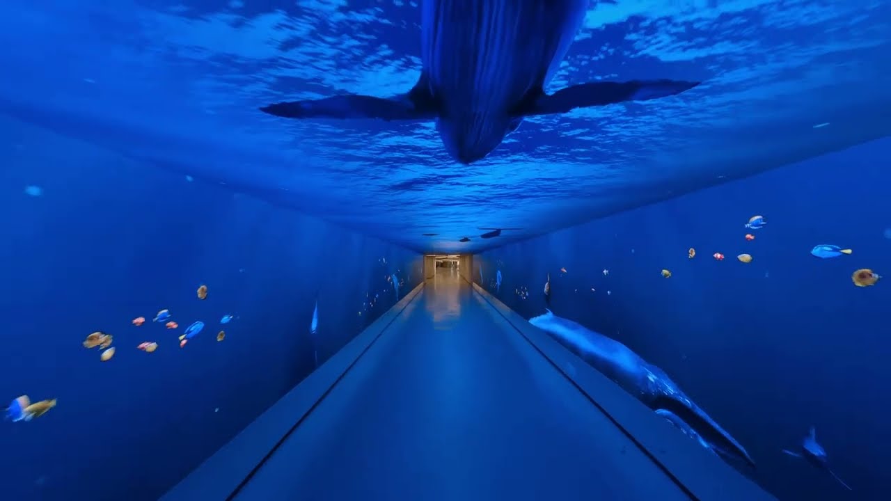 Immersive Experience | The Gallery &ndash; Digital Tunnel in Florence