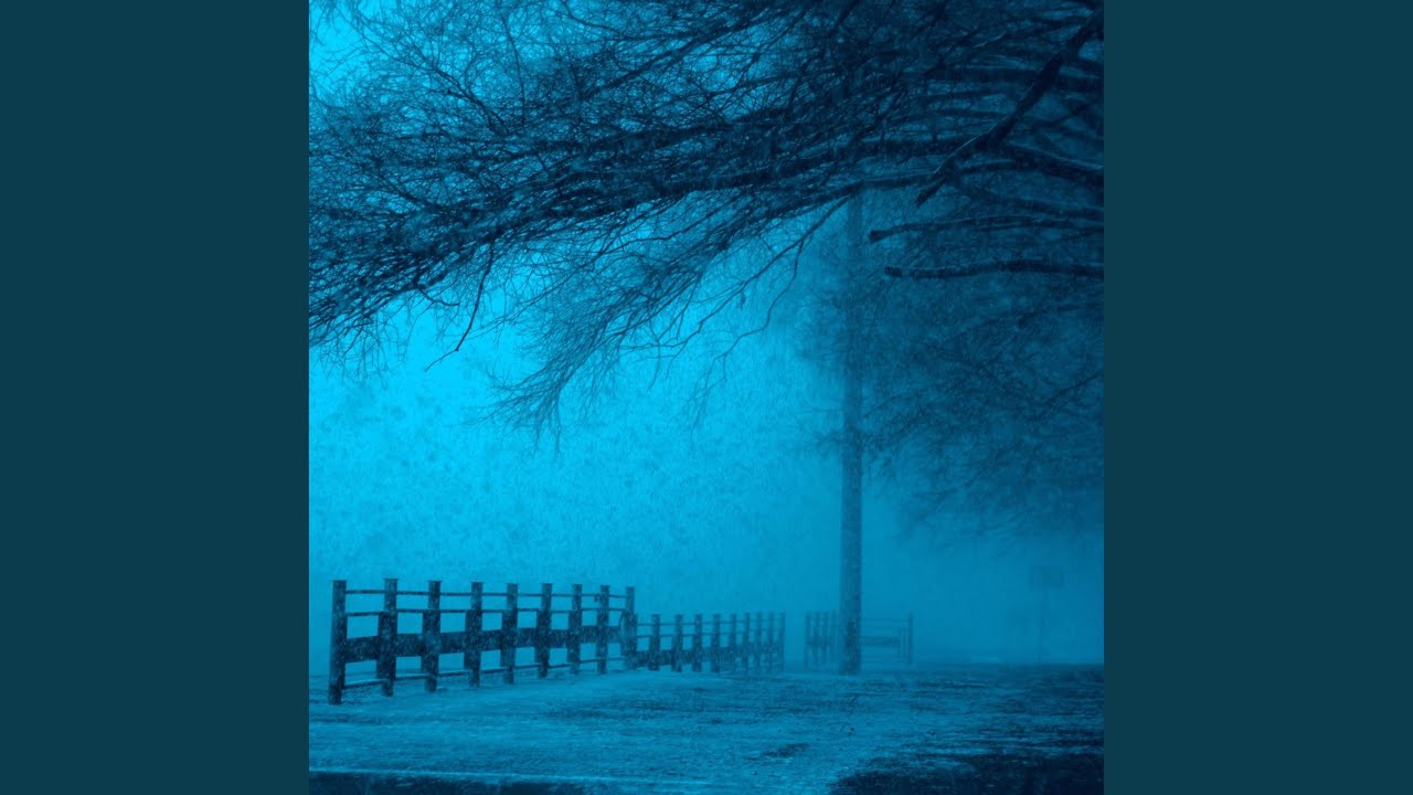 Moonlight secrets