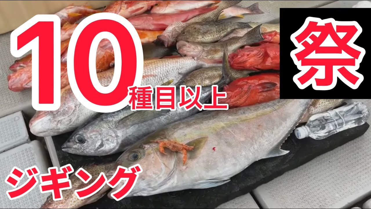 【良型ヒレナガカンパチ！】ジギングで高級魚連発！遊漁船うぐるBOX