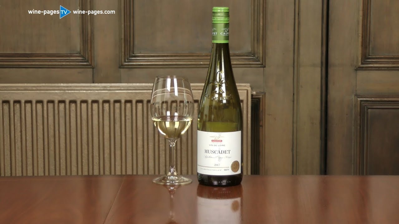 Calvet, Muscadet 2017, wine review