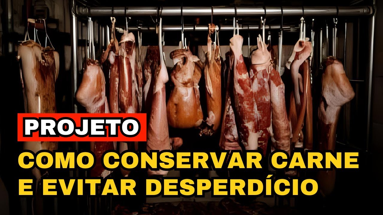 COMO CONSERVAR CARNE POR LONGOS PERÍODOS | PROJETO