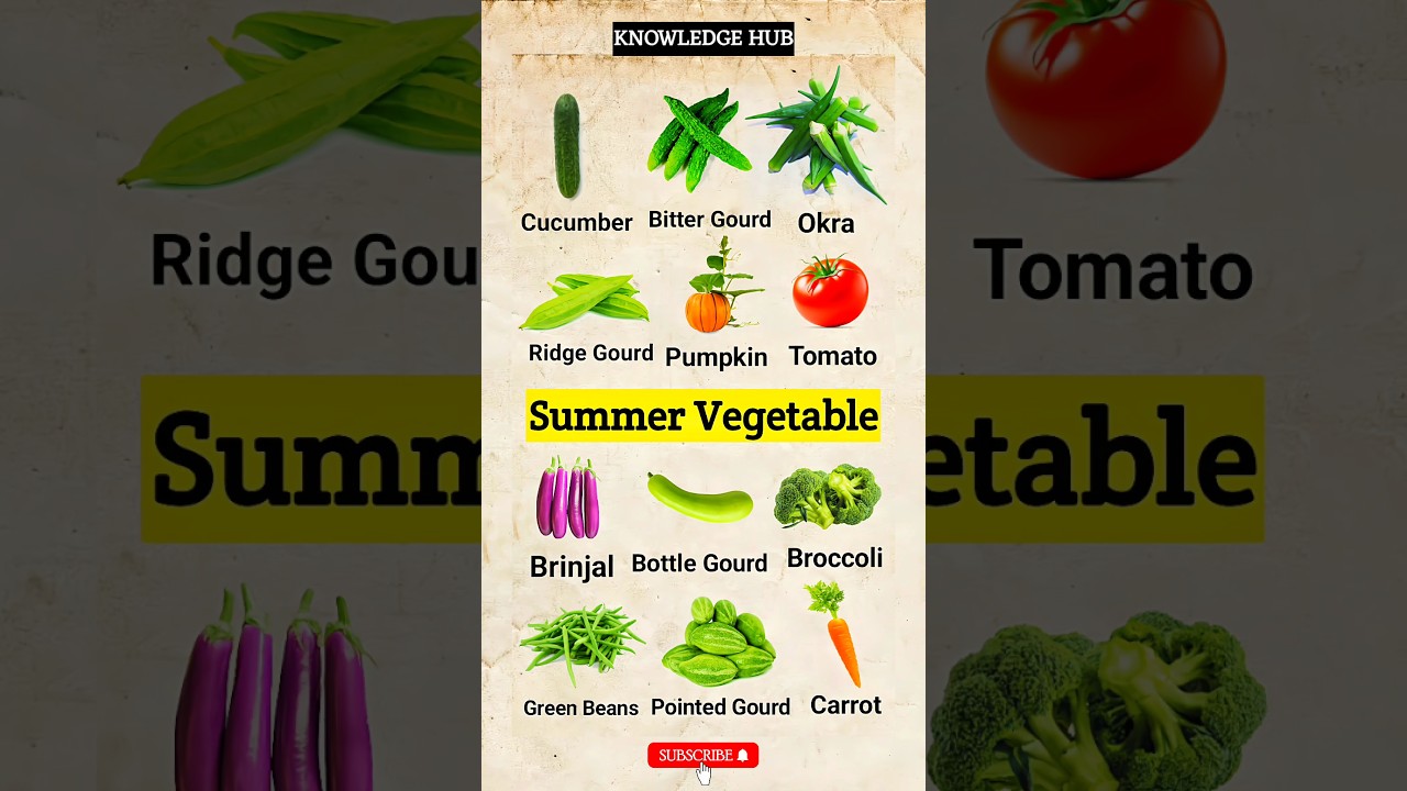 Summer Vegetables || #summer #vegetables #okra #brinjal #broccoli #tomato #pumpkin #cucumber #viral