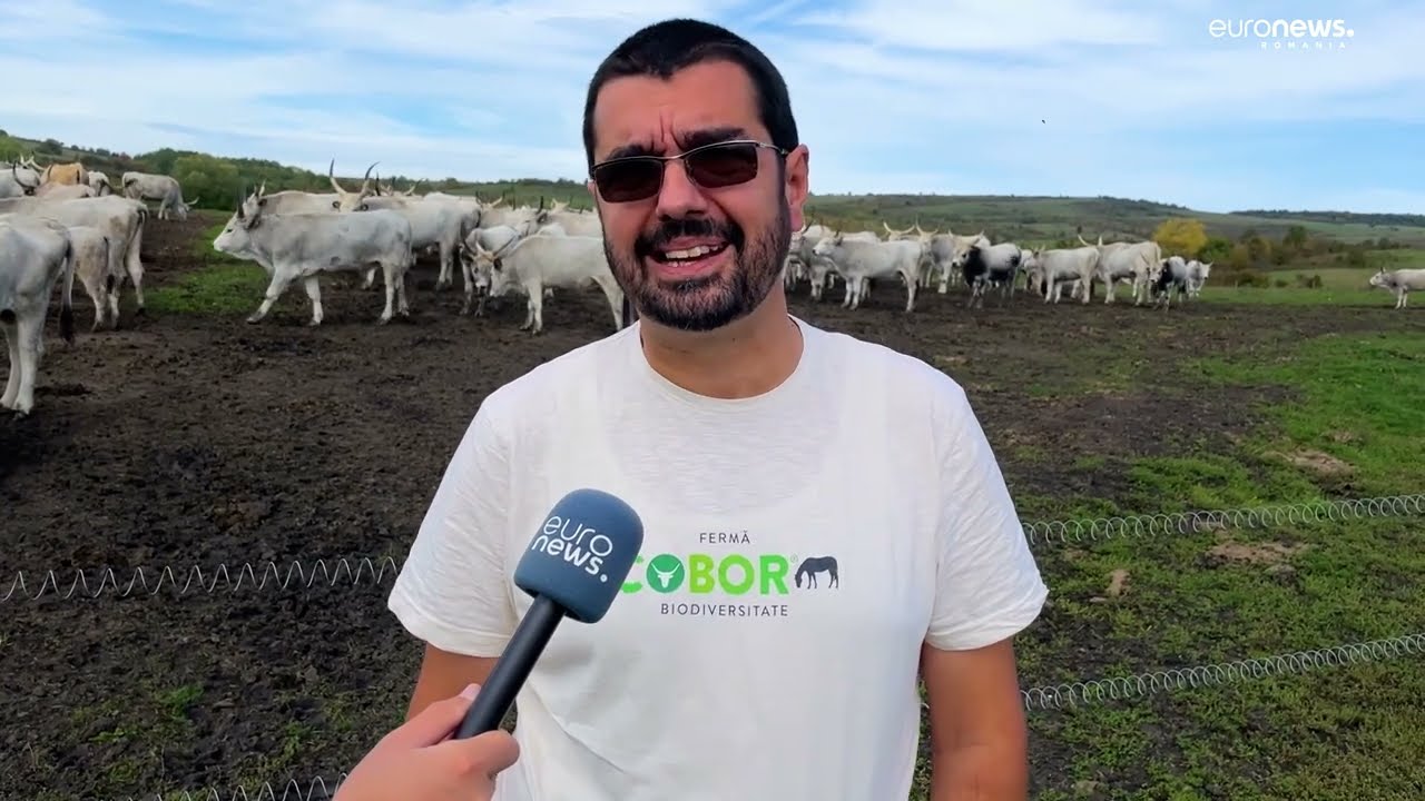 EURONEWS SPECIAL. Surele de la Cobor