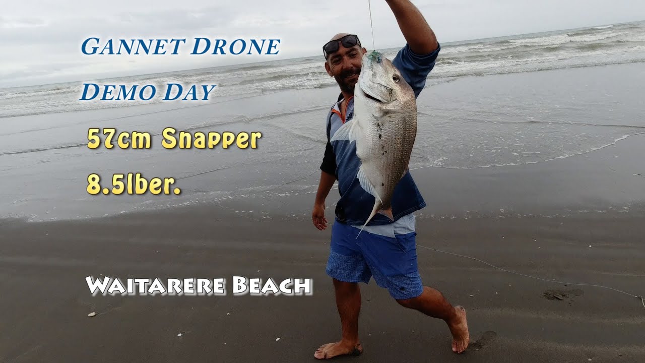 Gannet drone fishing demo Waitarere Beach 2023