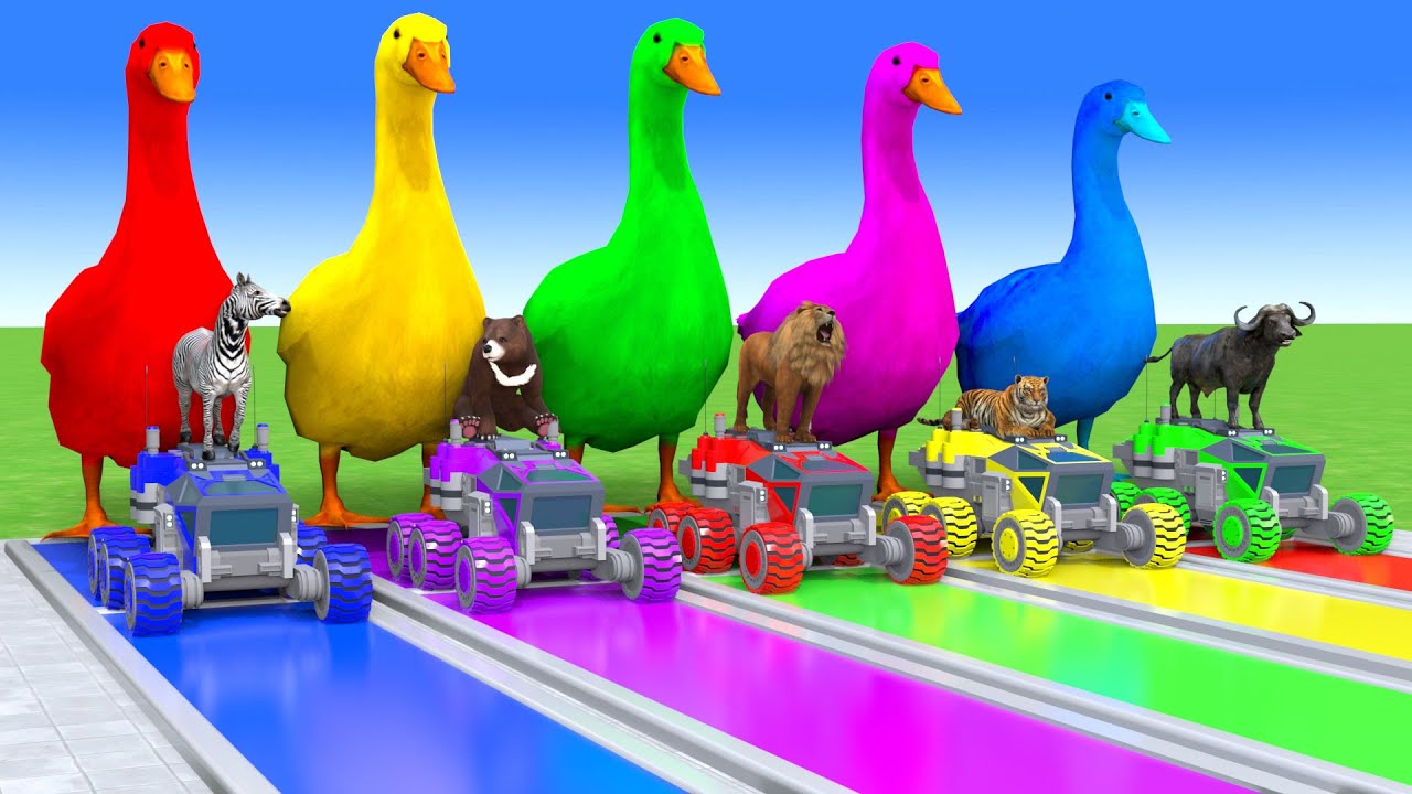 5 GIANT DUCKS and Friends Cross the Famous Fountain in EPIC Animation #064