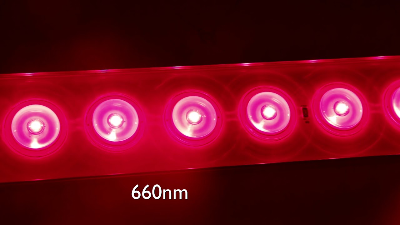 Koray 730nm far red 660nm deep red 450nm dark blue UVA 395nm  supplemental led grow light