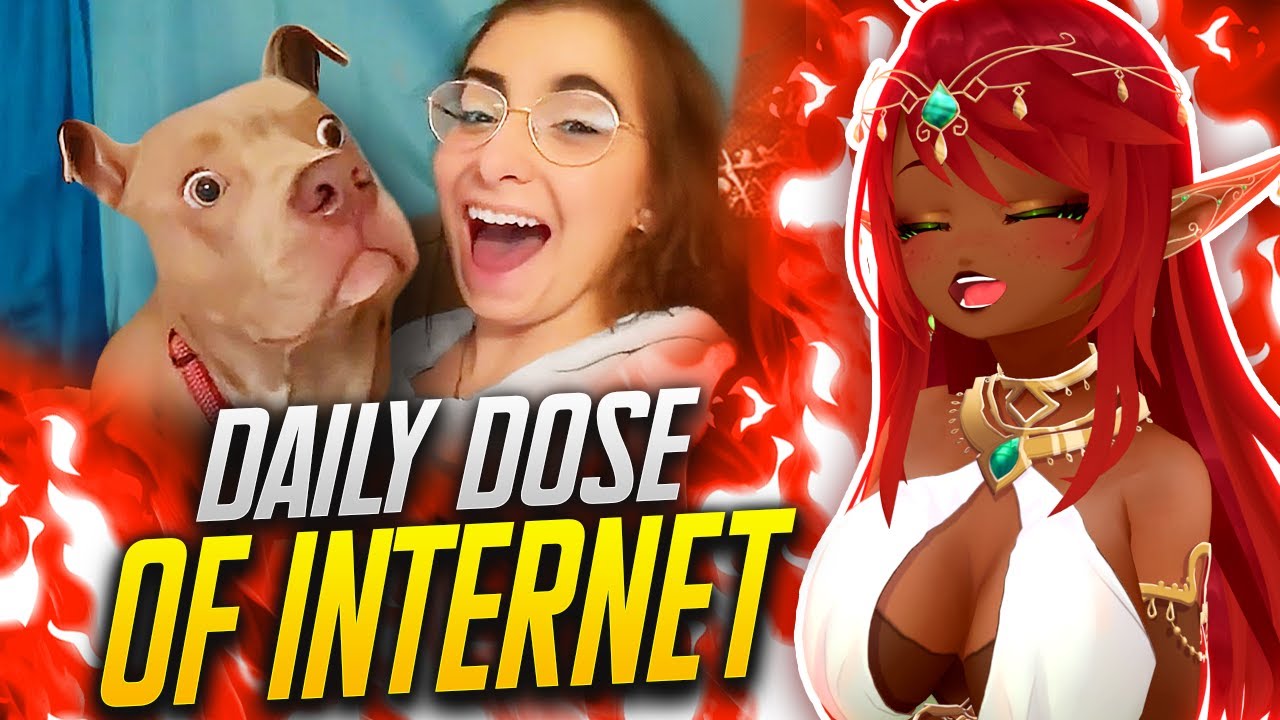 BEST DOGS EDITION!! | Daily Dose of Internet Reaction