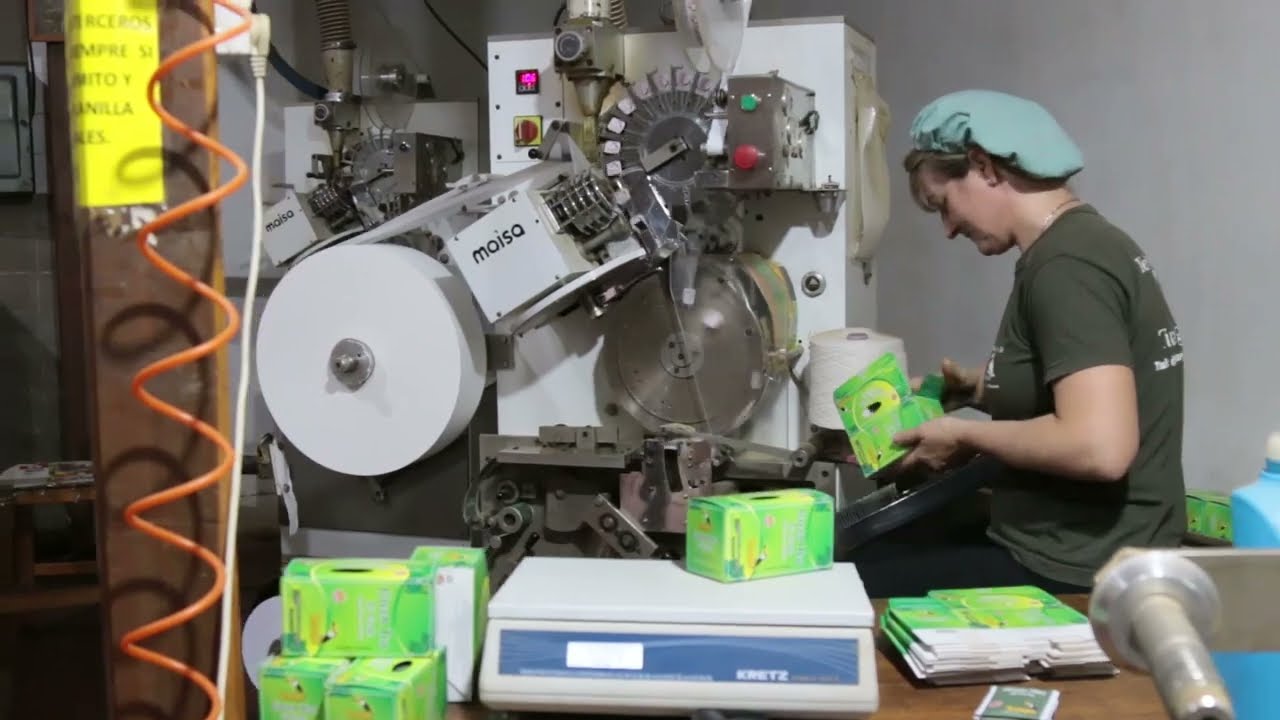 La producción de té