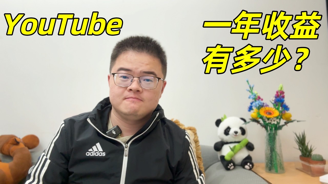 频道一周年纪念（三）：做视频一周年收益有多少？什么样的视频更受欢迎？怎么在YouTube上赚取收益？💰【小土豆Xiao2Dou】