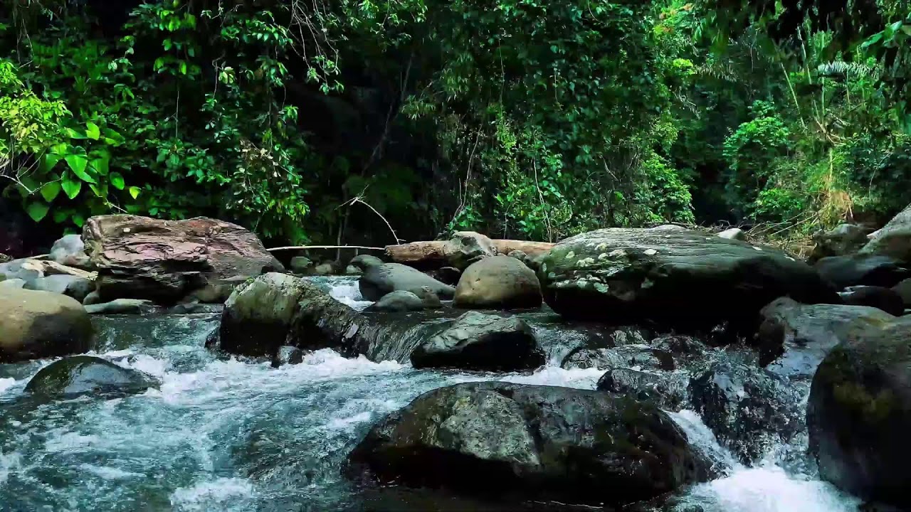 Jungle Stream Rushing Through Stones – Real River Sound for Sleep & Focus