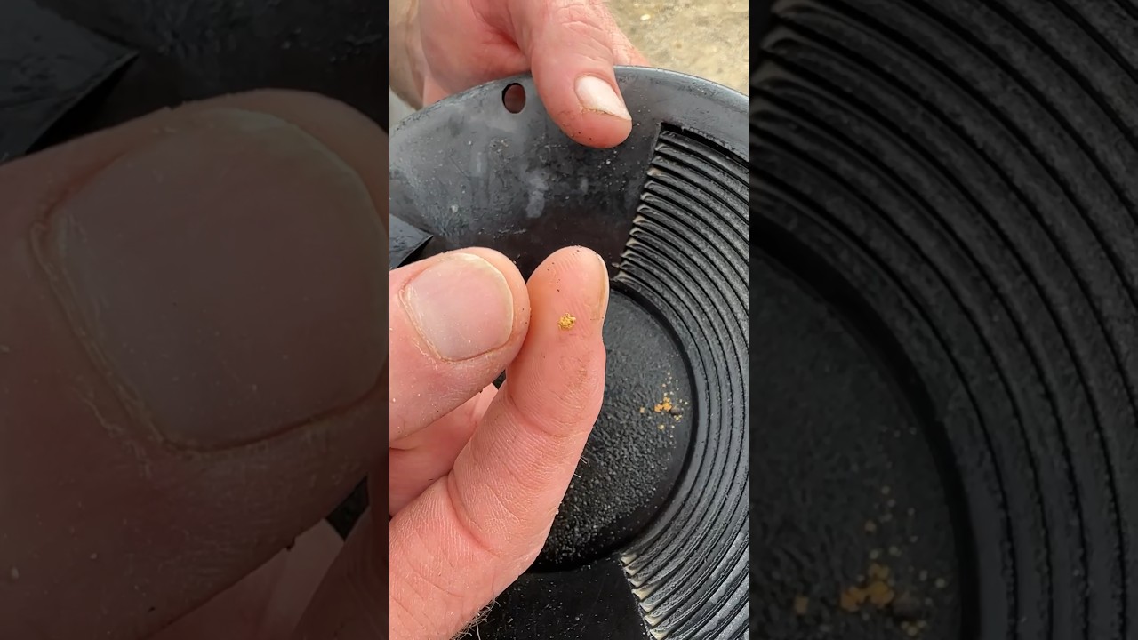 The source of coarse gold is nearby #goldrush #goldnugget #mining #cali @CreationsByWill