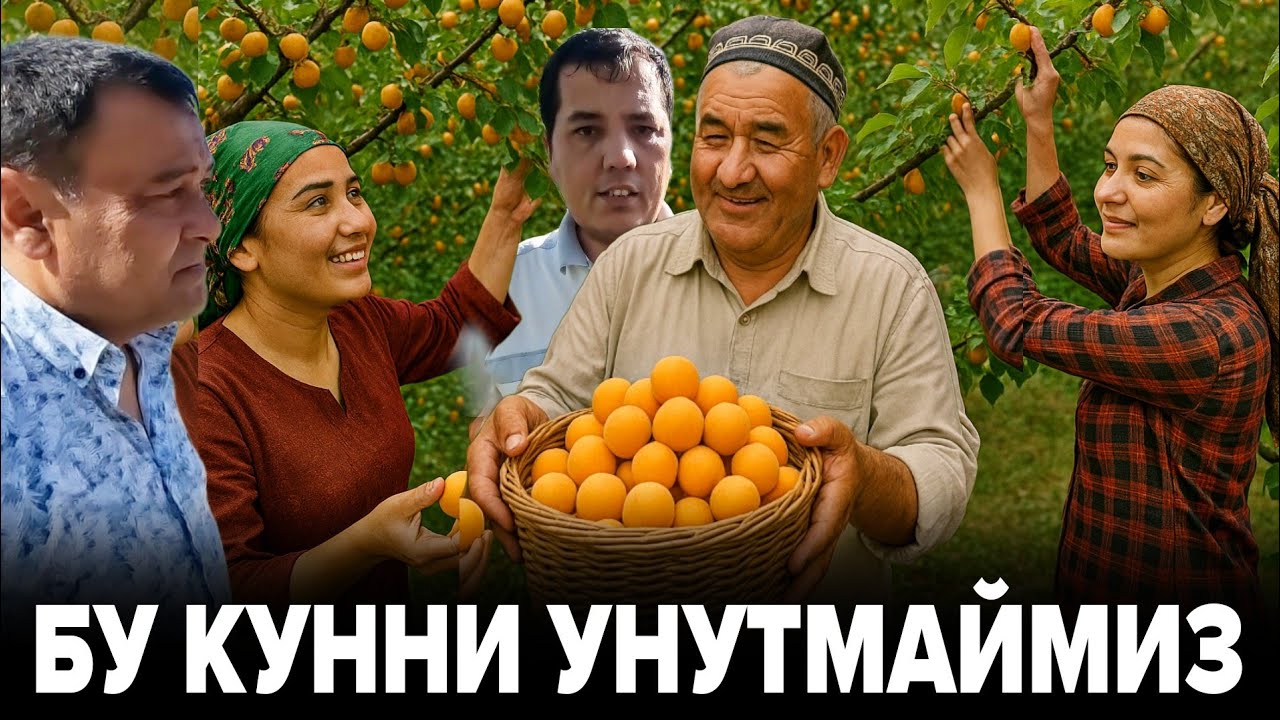 БУ КУН УНИТИЛМАС БУЛДИ. НАМАНГАНДА КАТТА ЎРИК МЕВАЗОР ЖОЙГА КИРДИК...