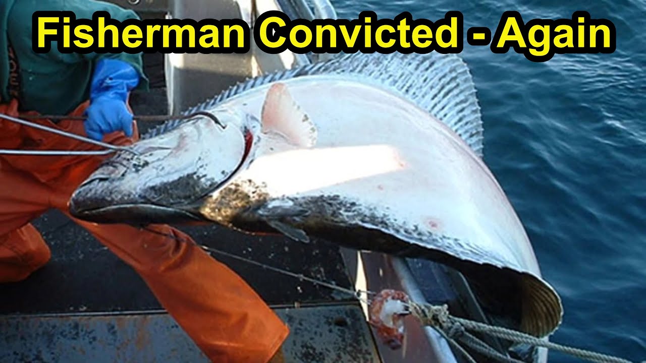 Fisherman convicted on multiple felony fishing violations.