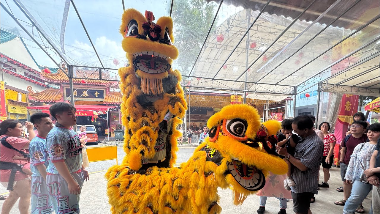 新加坡水莲宫龙狮学院 Singapore Shui Lian Gong Dragon & Lion Dance Cai Qing Performance at 韮菜芭城隍廟 22 Feb 2026