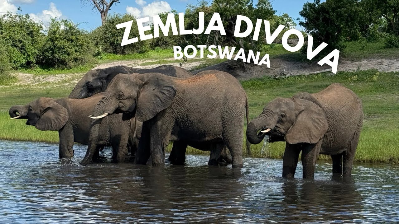 Afrička tura - vlog 7. Idemo na safari u Botswani 🇧🇼 