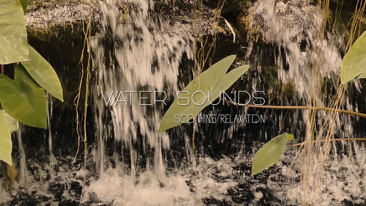 Relaxing Nature Sounds | Peacefall Piano & Guitar | Calm & Healing Music for Stress Relief