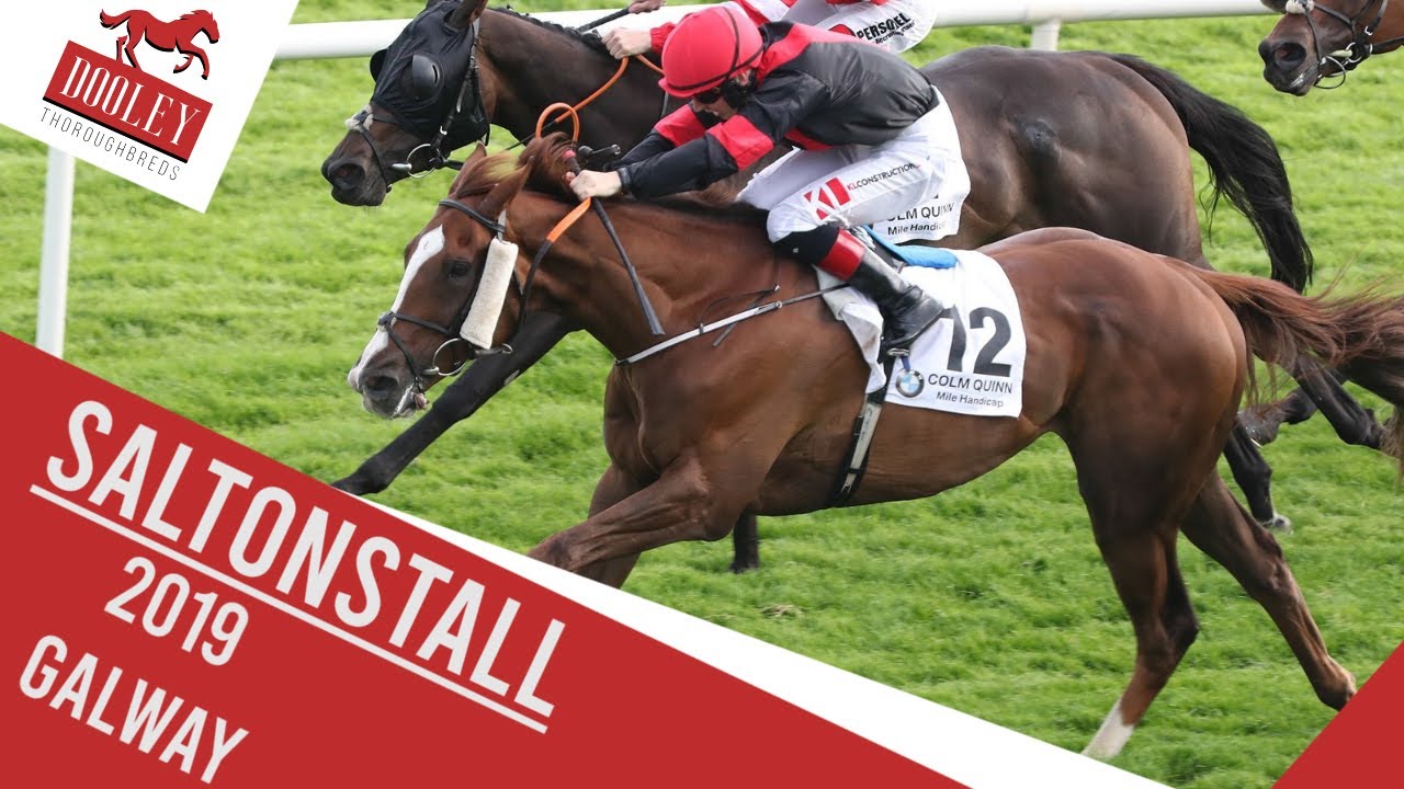 Making Memories at Galway Races with Saltonstall - Racehorse Ownership with Dooley Thoroughbreds