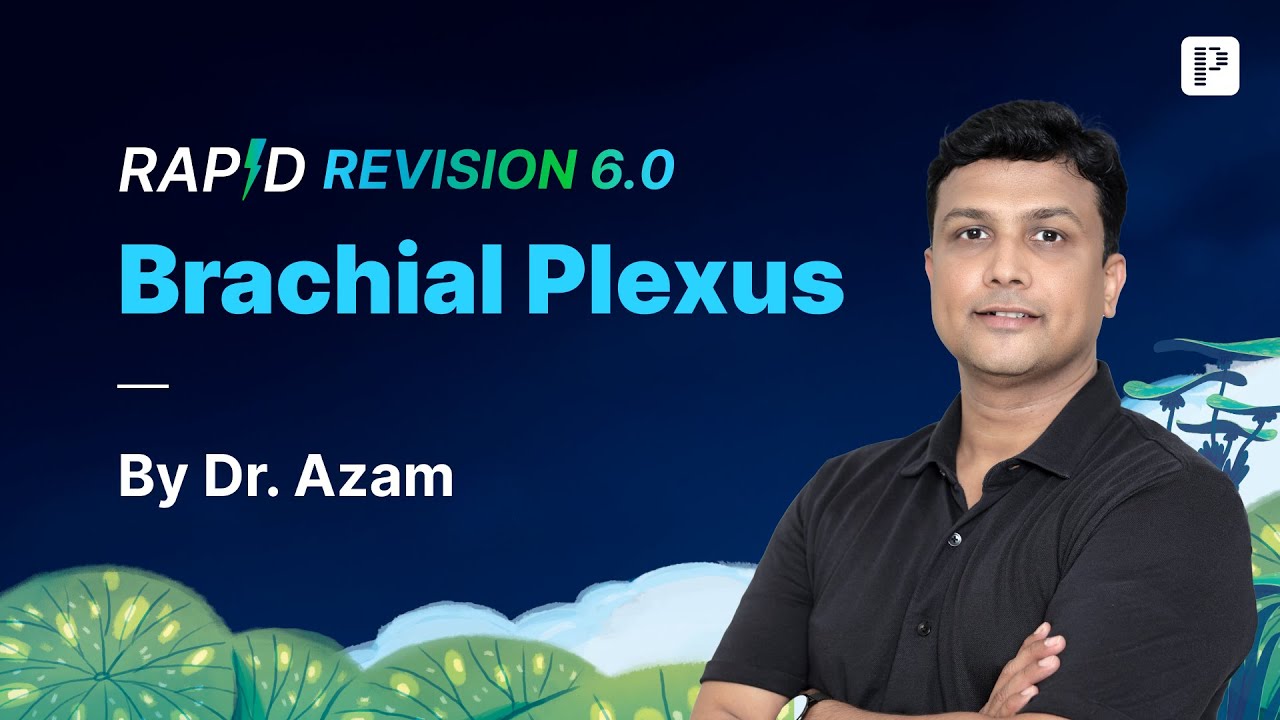 Brachial Plexus Explained | Rapid Revision 6.0 with Dr. Azam