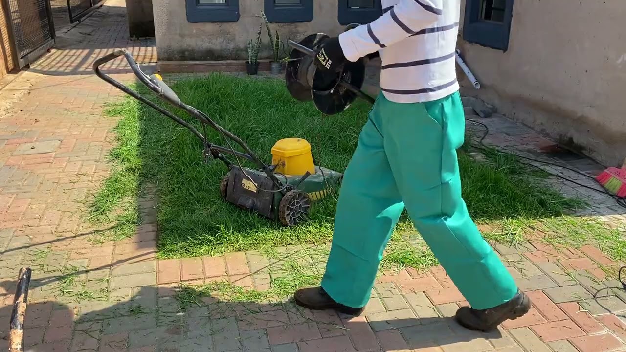 Lawn care 101! Discover an amazing transformation.